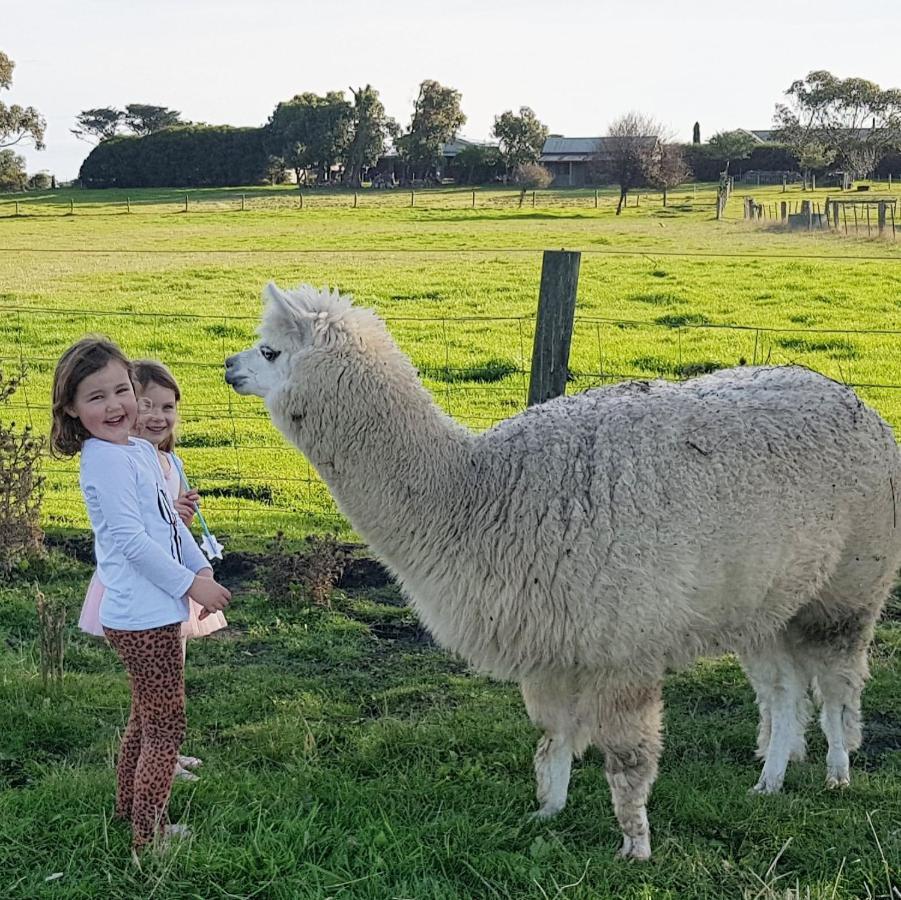 Clonmara Country House And Cottages Port Fairy Extérieur photo