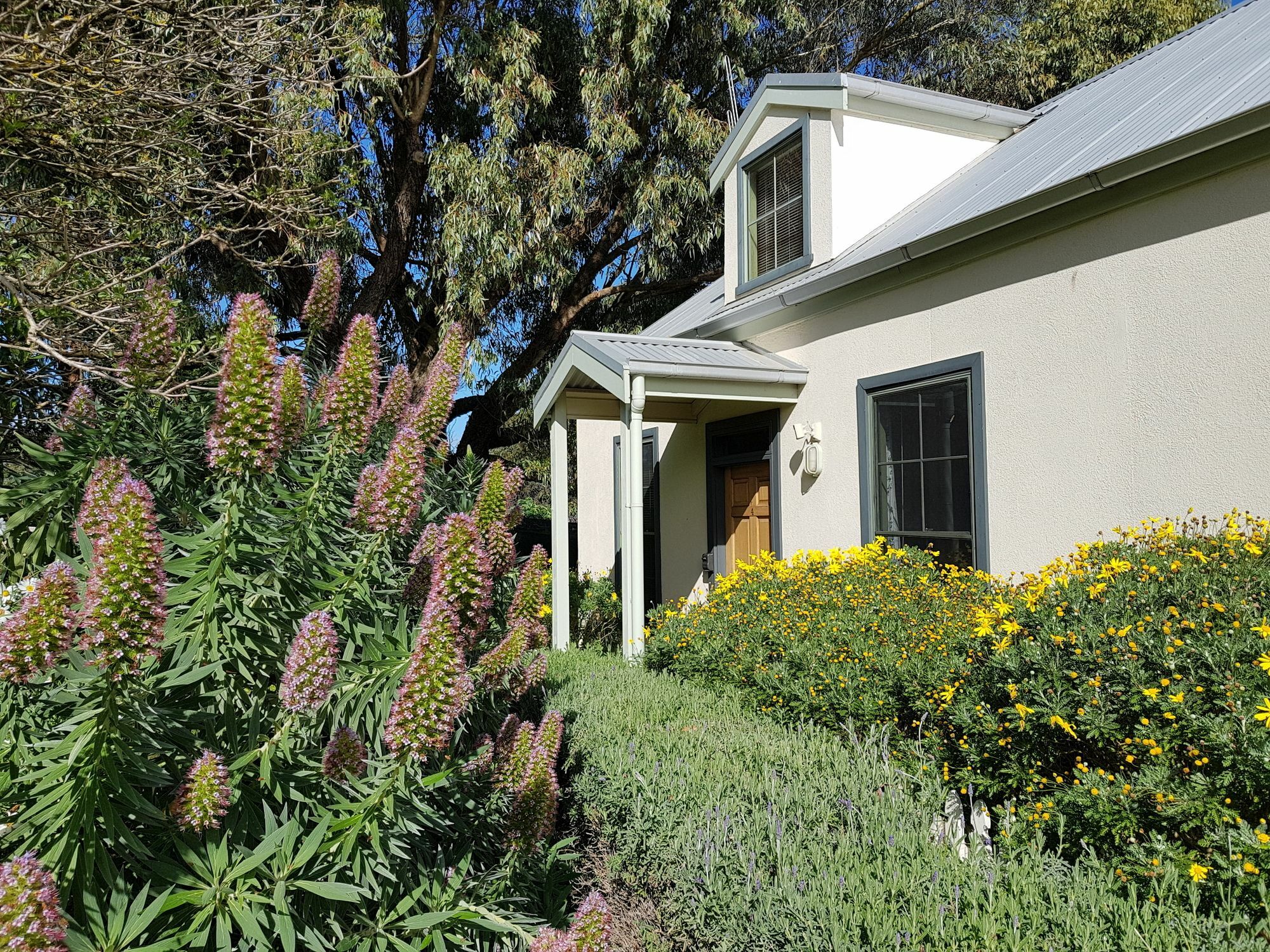 Clonmara Country House And Cottages Port Fairy Extérieur photo